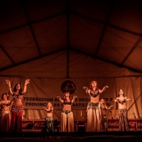 Feria de folcklore y gastronomia (11)