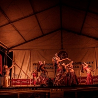 Feria de folcklore y gastronomia (12)