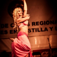 Feria de folcklore y gastronomia (15)