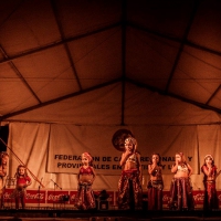 Feria de folcklore y gastronomia (16)