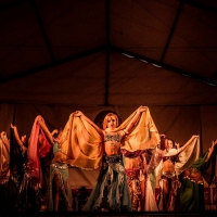 Feria de folcklore y gastronomia (17)