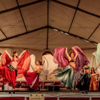 Feria de folcklore y gastronomia (2)
