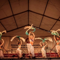 Feria de folcklore y gastronomia (4)