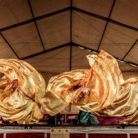 Feria de folcklore y gastronomia (5)