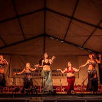 Feria de folcklore y gastronomia (6)