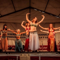 Feria de folcklore y gastronomia (7)
