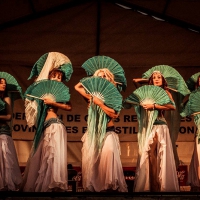 Feria de folcklore y gastronomia 8