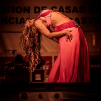 Feria de folcklore y gastronomia (9)